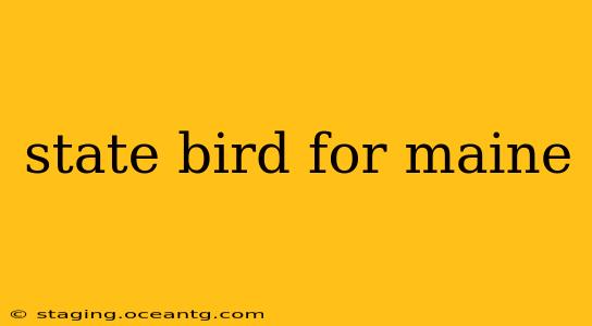 state bird for maine