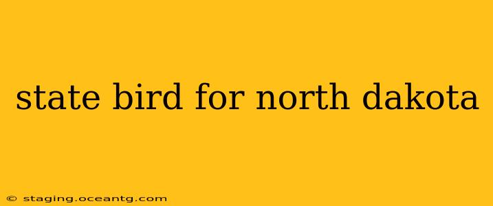 state bird for north dakota