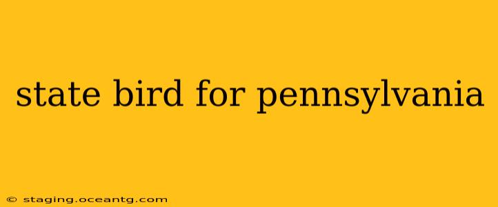 state bird for pennsylvania