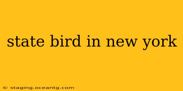 state bird in new york