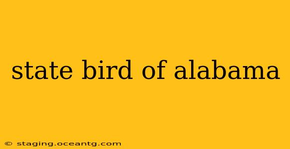 state bird of alabama