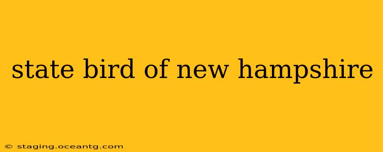 state bird of new hampshire