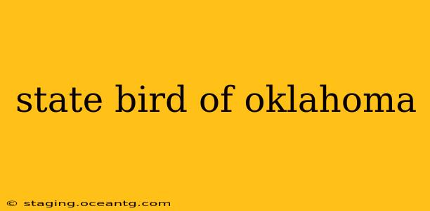 state bird of oklahoma
