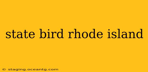 state bird rhode island