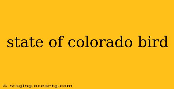 state of colorado bird