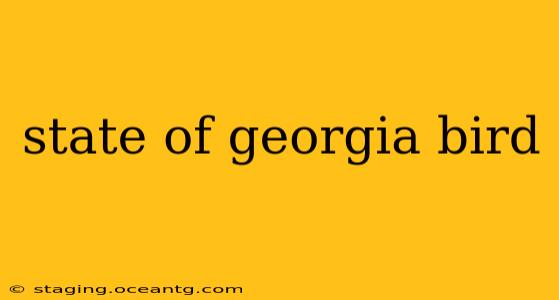 state of georgia bird