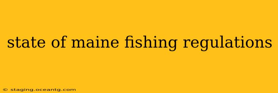 state of maine fishing regulations