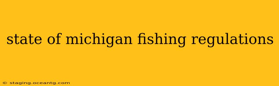 state of michigan fishing regulations