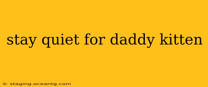 stay quiet for daddy kitten stay quiet for daddy kitten