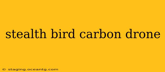 stealth bird carbon drone