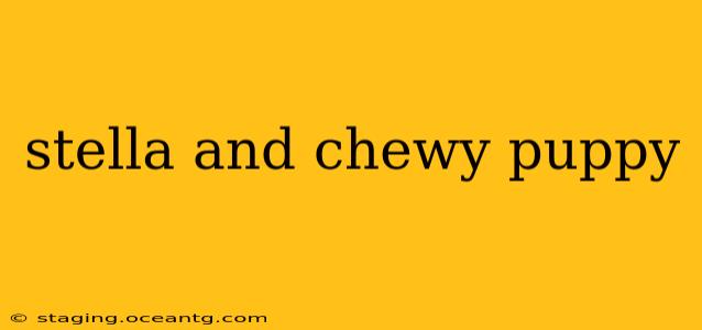 stella and chewy puppy