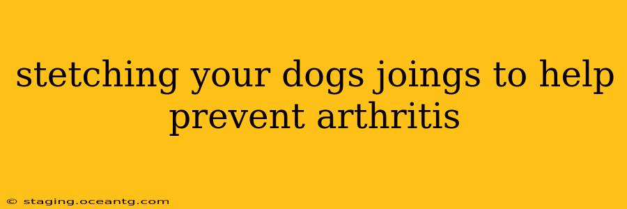 stetching your dogs joings to help prevent arthritis