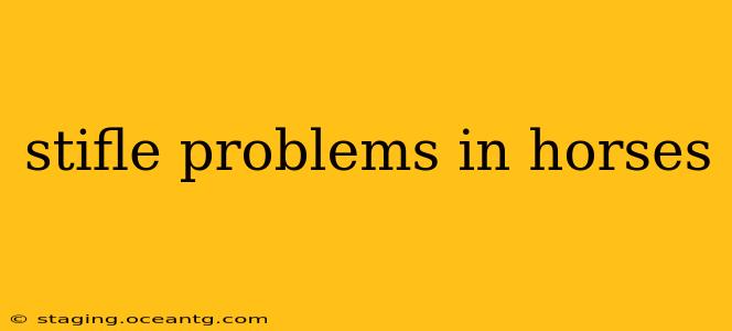 stifle problems in horses
