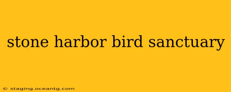 stone harbor bird sanctuary