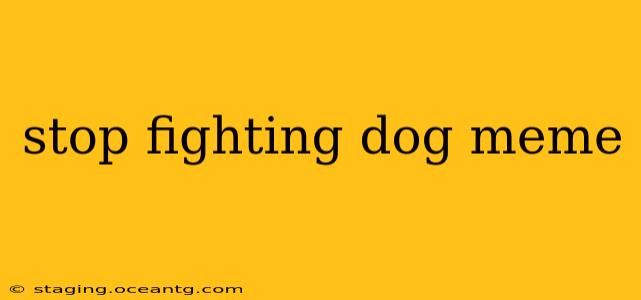 stop fighting dog meme