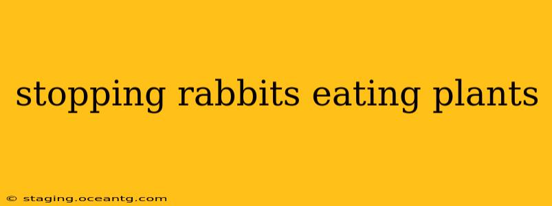 stopping rabbits eating plants