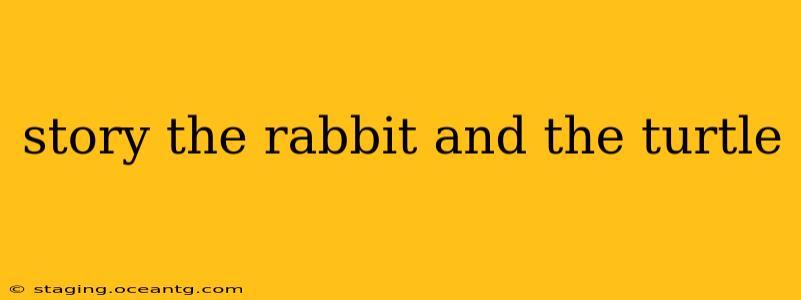 story the rabbit and the turtle