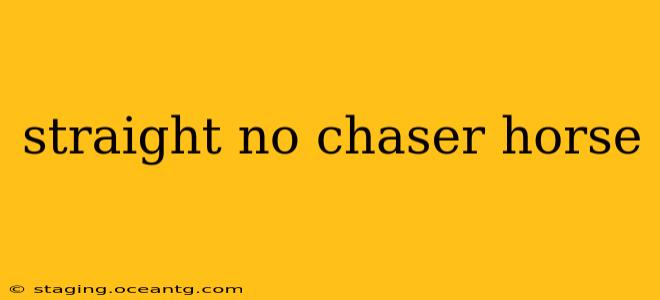 straight no chaser horse
