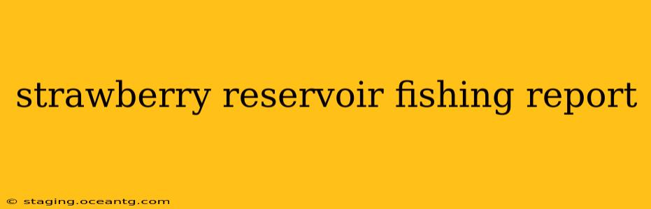 strawberry reservoir fishing report