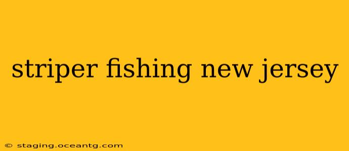 striper fishing new jersey