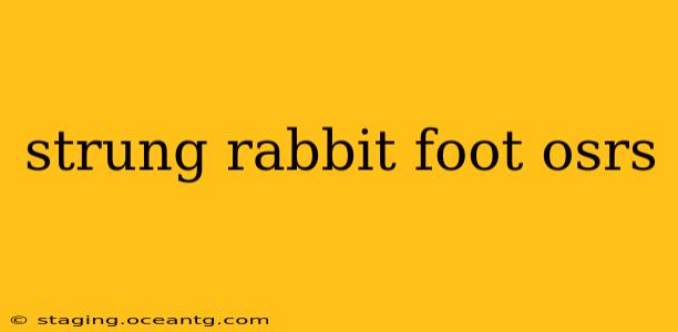 strung rabbit foot osrs