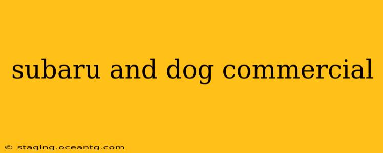 subaru and dog commercial