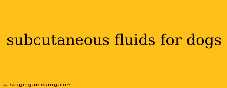 subcutaneous fluids for dogs