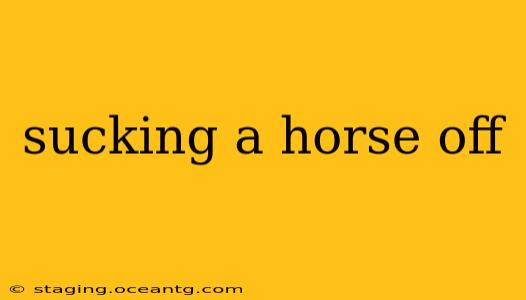 sucking a horse off