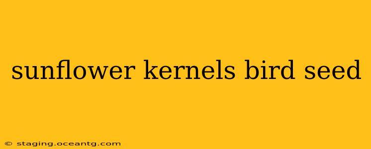 sunflower kernels bird seed