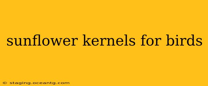 sunflower kernels for birds