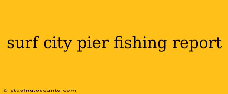 surf city pier fishing report
