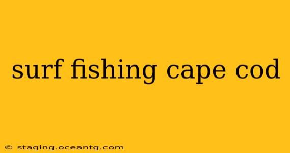surf fishing cape cod