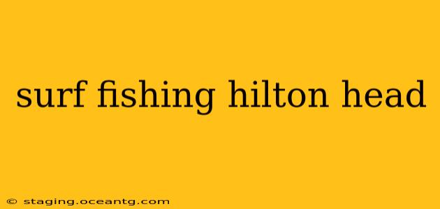 surf fishing hilton head