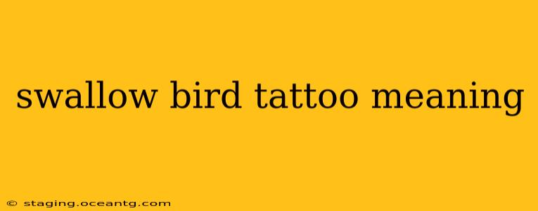 swallow bird tattoo meaning