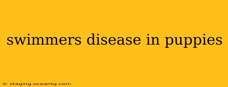 swimmers disease in puppies
