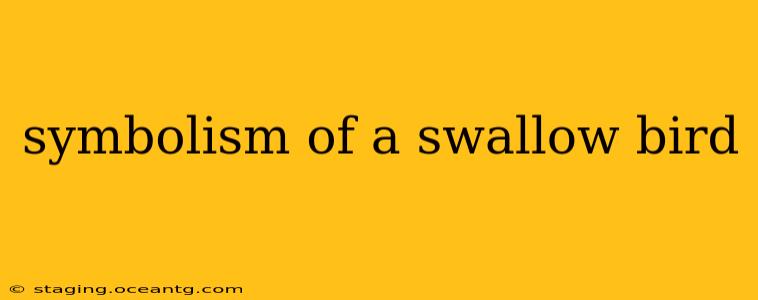 symbolism of a swallow bird
