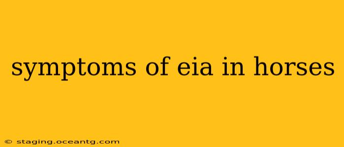 symptoms of eia in horses