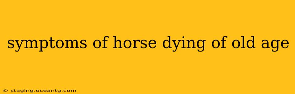 symptoms of horse dying of old age
