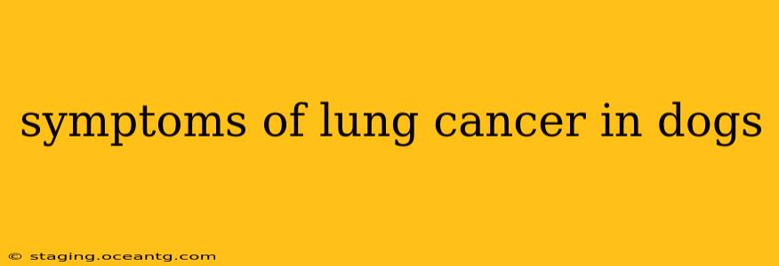 symptoms of lung cancer in dogs