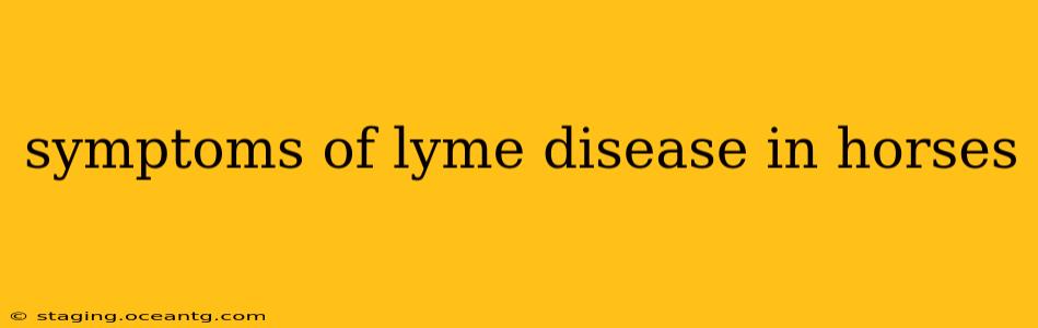 symptoms of lyme disease in horses