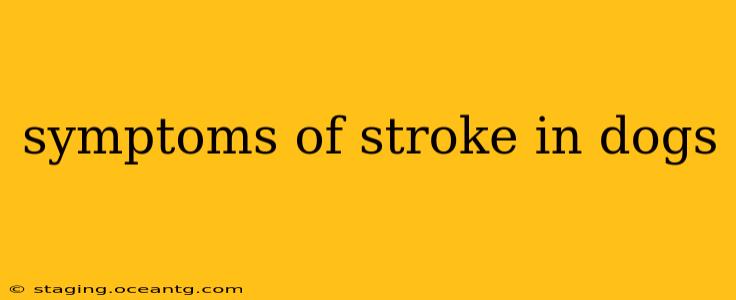 symptoms of stroke in dogs