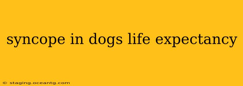 syncope in dogs life expectancy