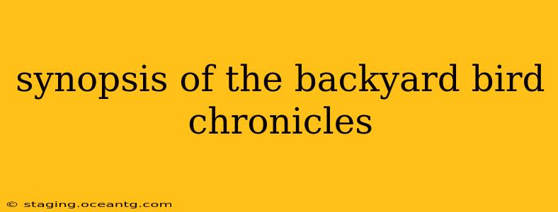 synopsis of the backyard bird chronicles