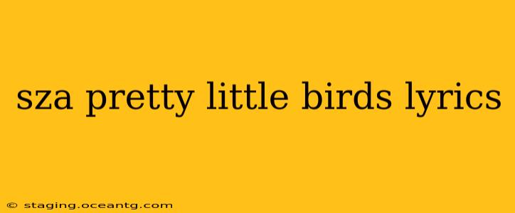 sza pretty little birds lyrics