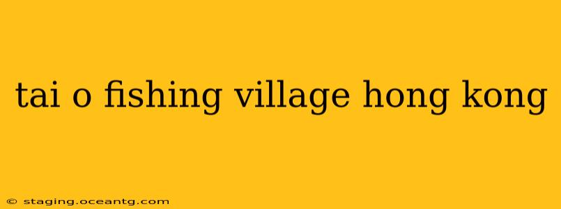 tai o fishing village hong kong