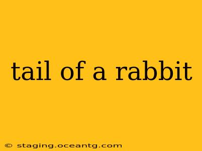 tail of a rabbit
