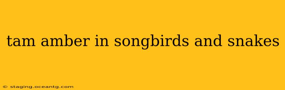 tam amber in songbirds and snakes