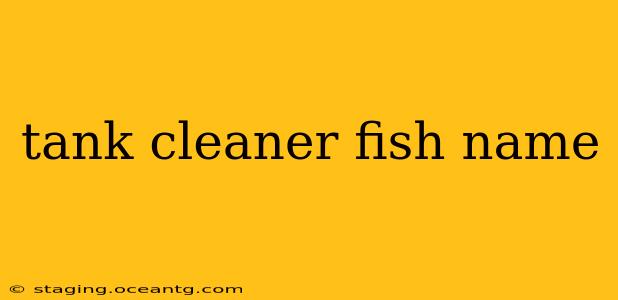 tank cleaner fish name
