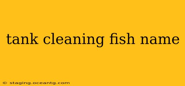 tank cleaning fish name