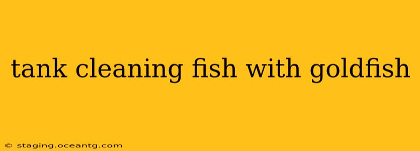 tank cleaning fish with goldfish